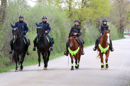 Skupen nadzor konjenikov NRP 07 Foto Ljubo Vukelič